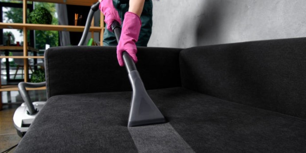 How often should I get my upholstery professionally cleaned?