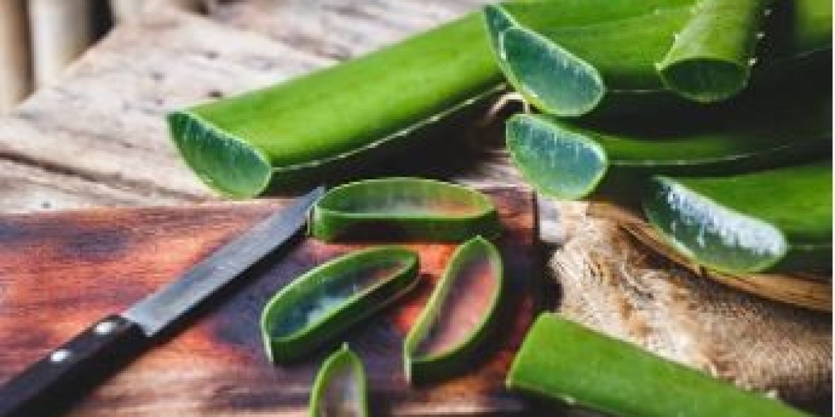 Aloe Vera Market Overview, Industry Growth Rate, Research Report 2024-2032