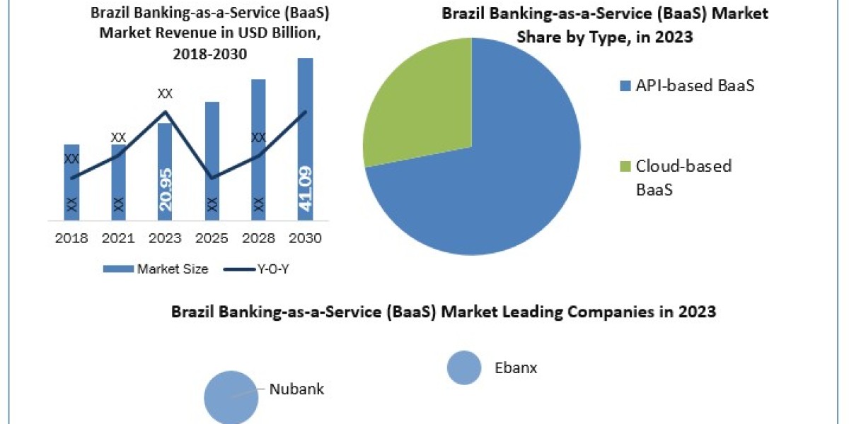 Brazil Banking-as-a-Service (BaaS) Market Metrics Matrix: Segmentation, Outlook, and Overview in Market Dynamics 2024-20