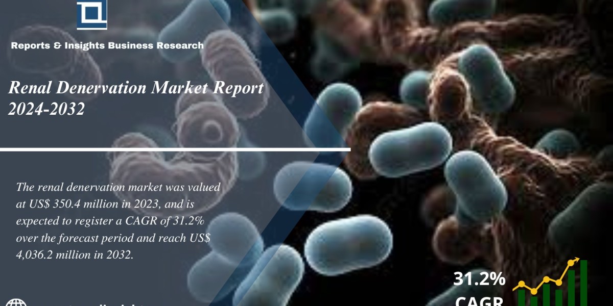 Renal Denervation Market Report, Size, Share, Growth, Global Industry Research 2024 to 2032