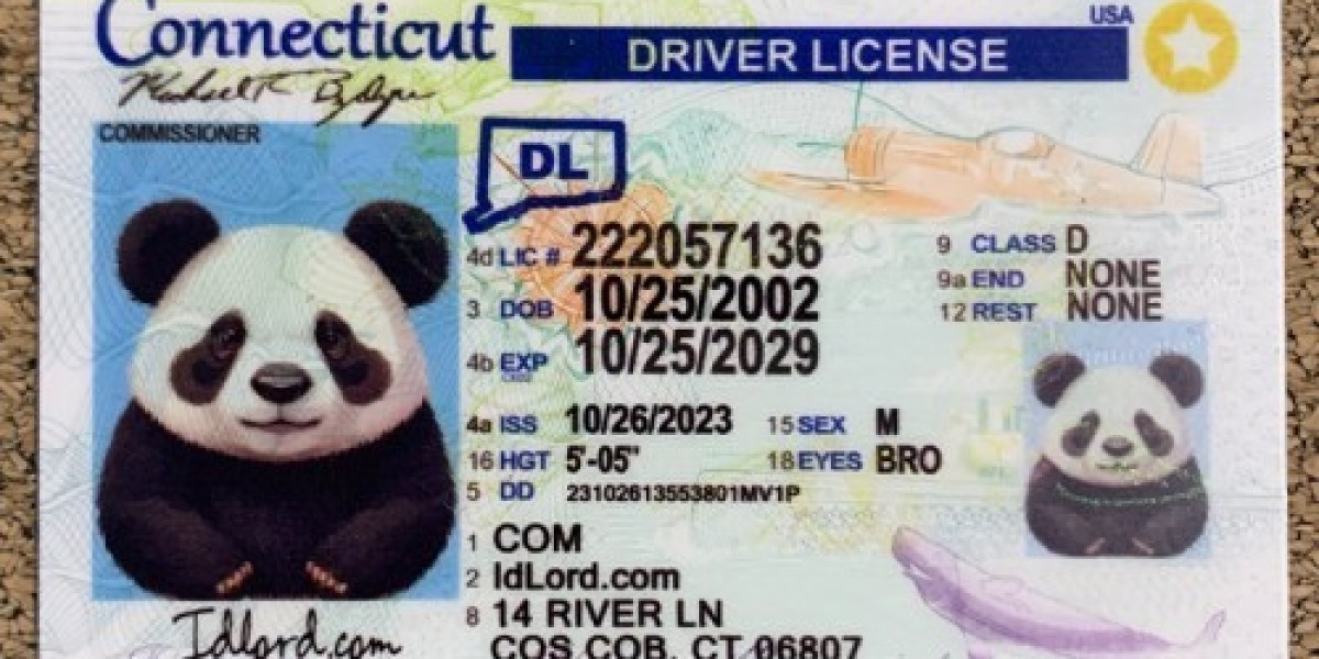 Spot the Difference Real vs. Fake Connecticut Driver's Licenses – Your Ultimate Guide