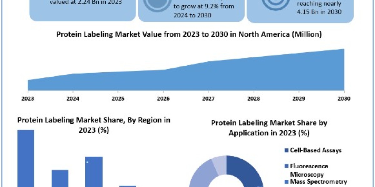 Protein Labeling Market Size, Scope, Growth, Analysis, Report and Forecast Period Of 2024-2030