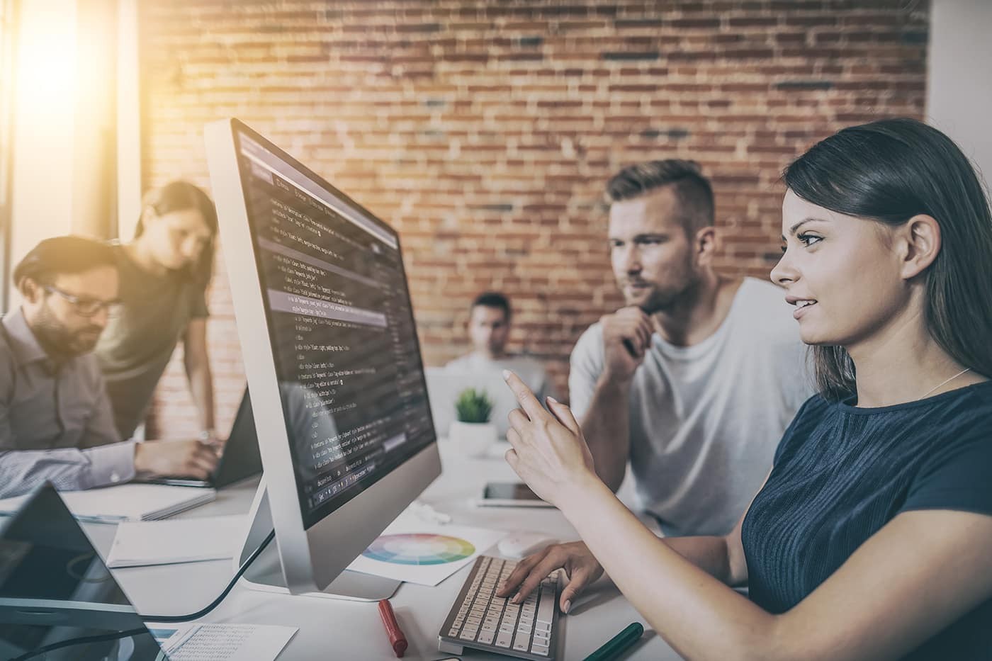 Project Management Software Services