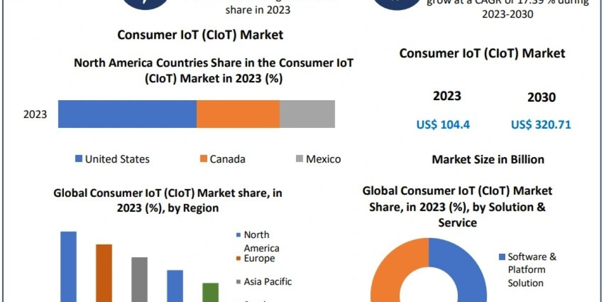 Global Consumer IoT (CIoT) Market Trends, Size, Share, Growth Opportunities, and Emerging Technologies 2030