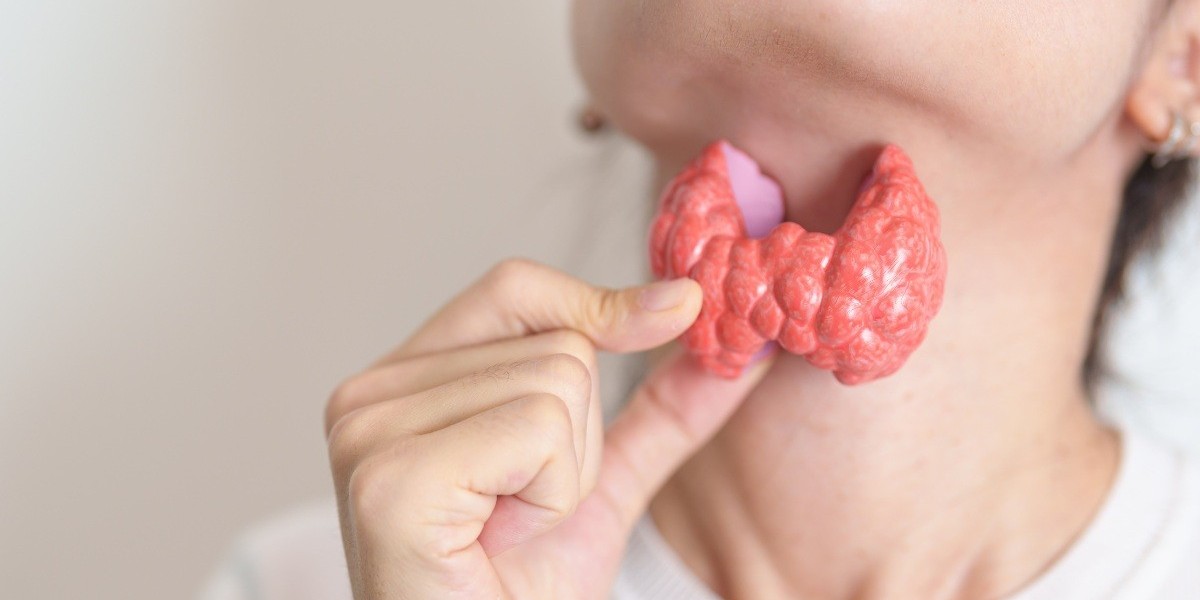 Hashimoto’s Thyroiditis Drug Industry: Global Hashimoto’s thyroiditis drug Current Status and Future Prospects