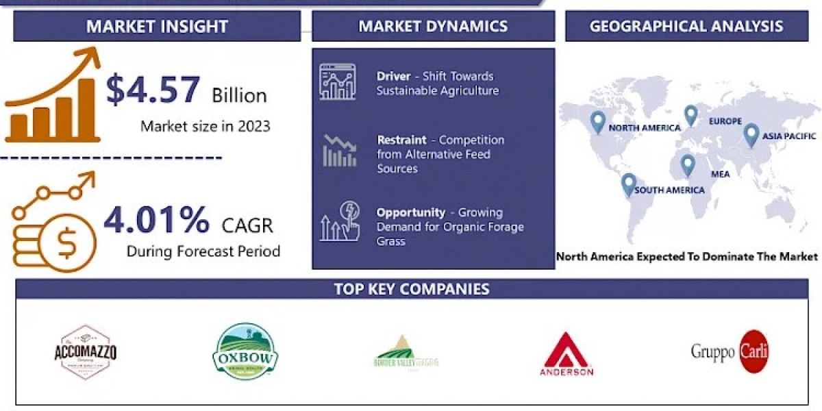 Forage Grass Market Trend, Opportunities, Key Players, Growth Factors, Revenue Analysis By 2032 | IMR