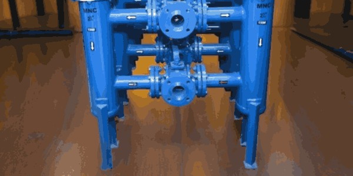 strainers Valve manufacturer in India