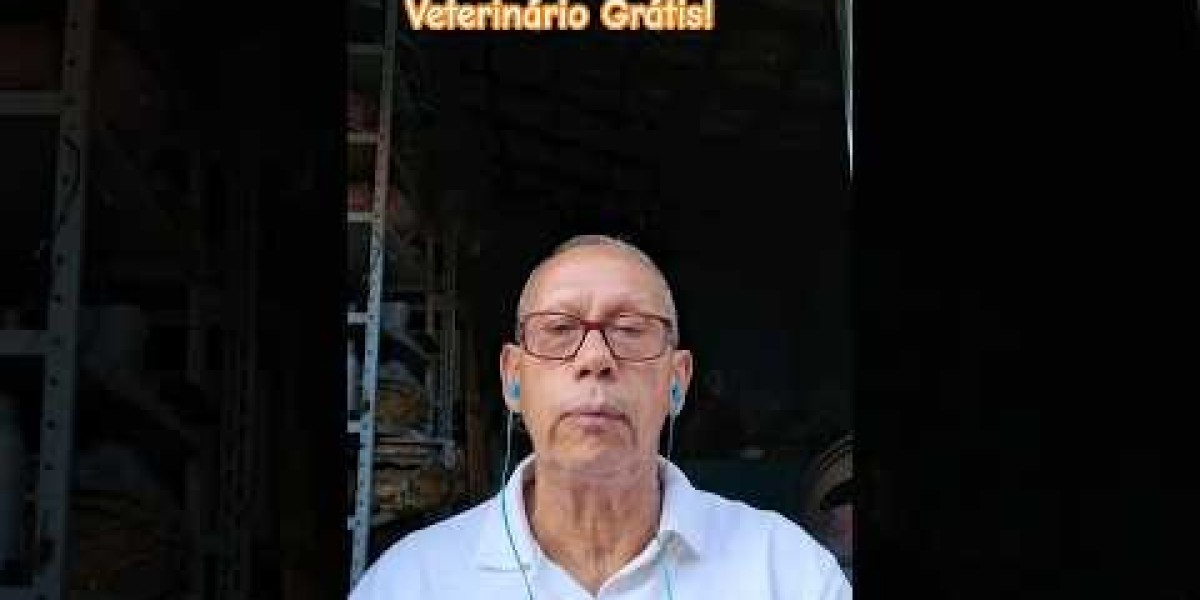 Salud Renal Para Gatos