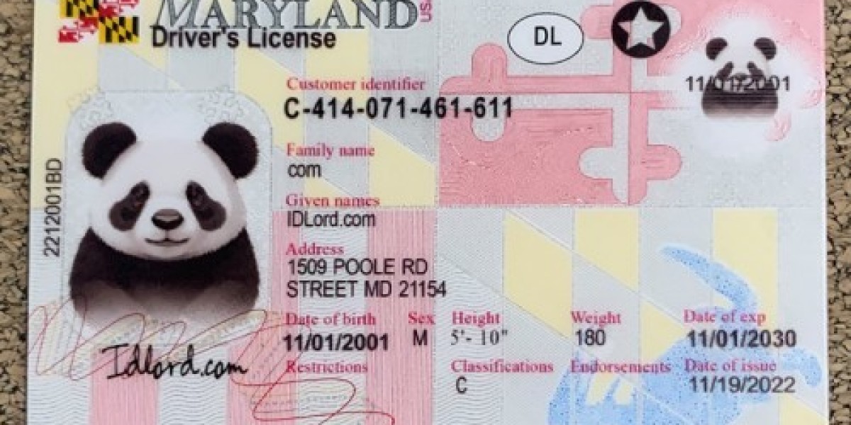 Unlock the Freedom of a New Identity Your Ultimate Fake Maryland Driver's License Solution
