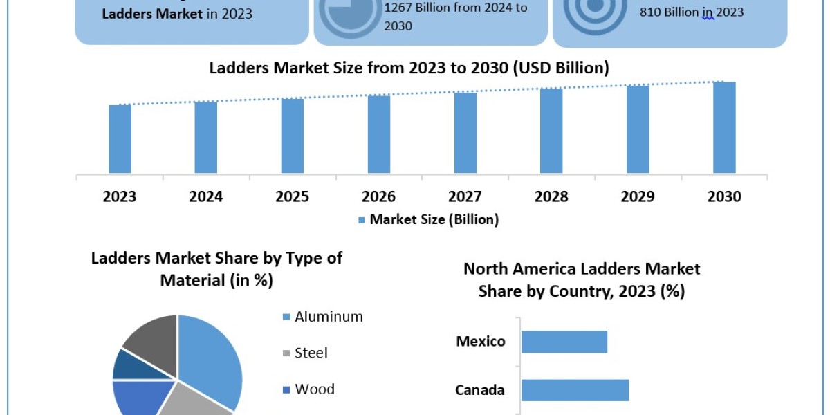 Ladders Market Size, Share, Price, Growth, Key Players, Analysis, Report, Forecast 2024-2030