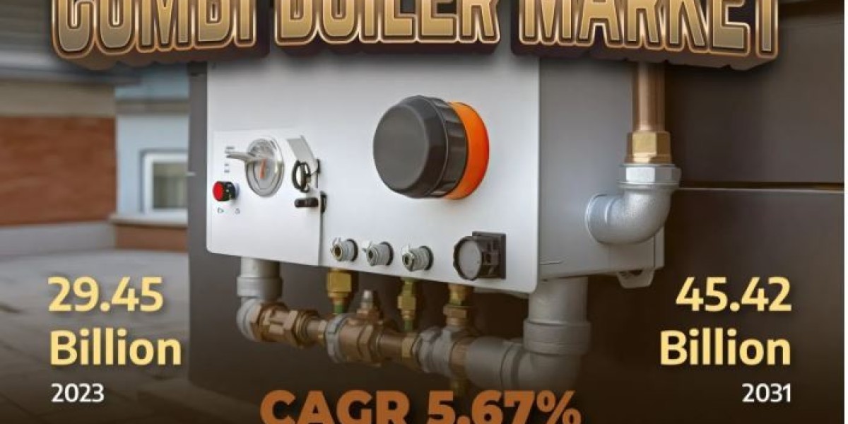 Combi Boiler Market Technological Advancements and Growing Energy and Power Demands Propel Market Growth