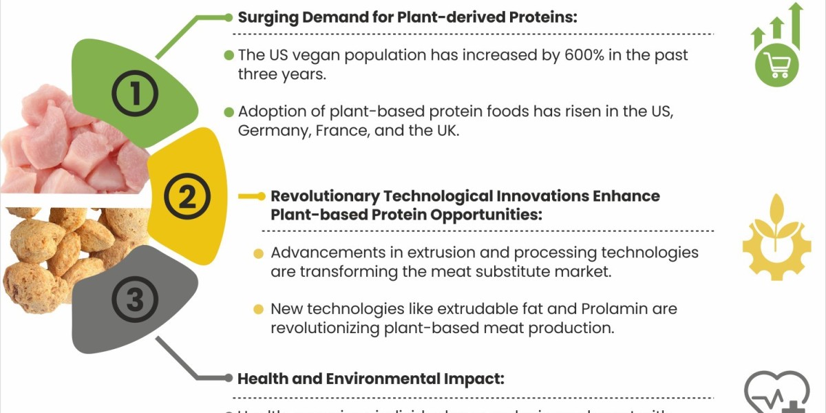 Meat Substitutes Market: Key Drivers Fueling the Plant-Based Revolution