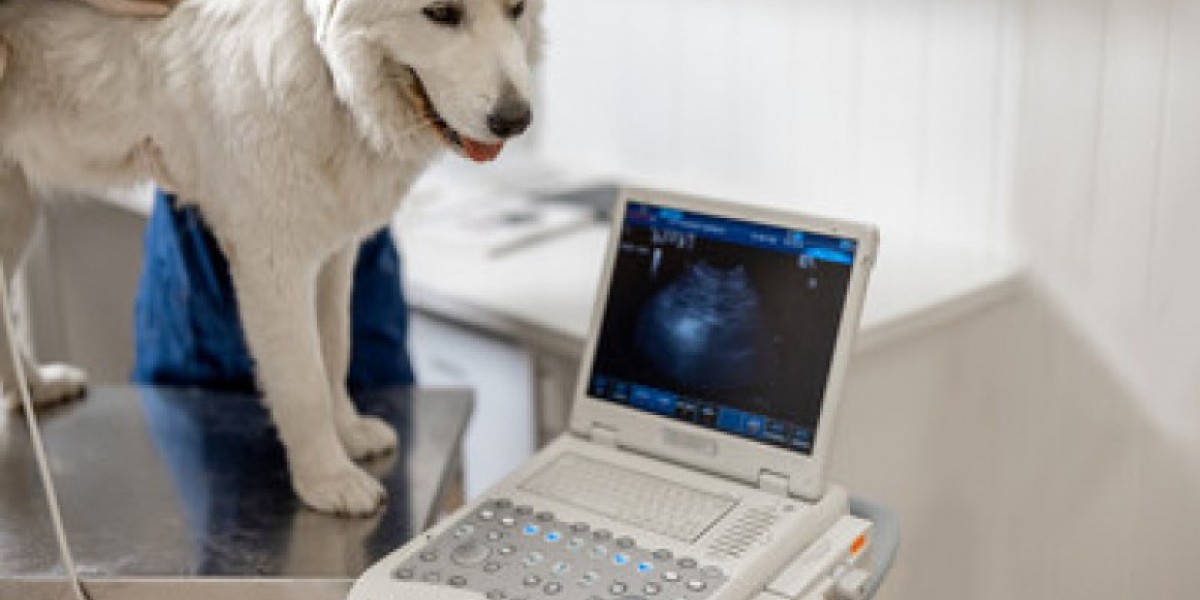 Understanding your pets lab tests Veterinary Teaching Hospital Washington State University