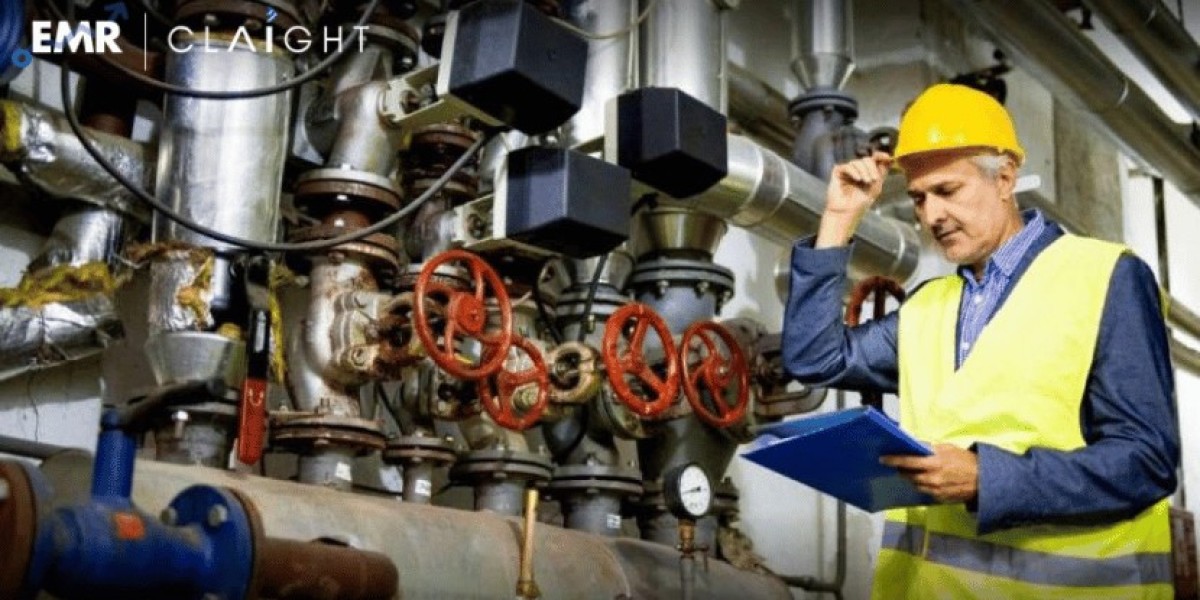 Geochemical Services Market Size, Share, Trends, Growth Report and Forecast 2024-2032