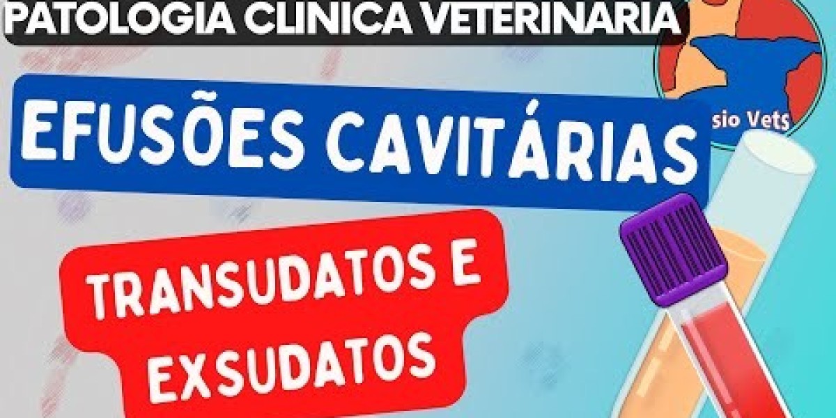 Can a Dogs Food Cause Elevated Liver Enzymes?