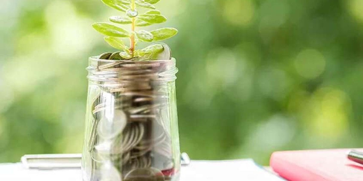 Secure Your Future with an Independent Financial Advisor from Retire Your Way