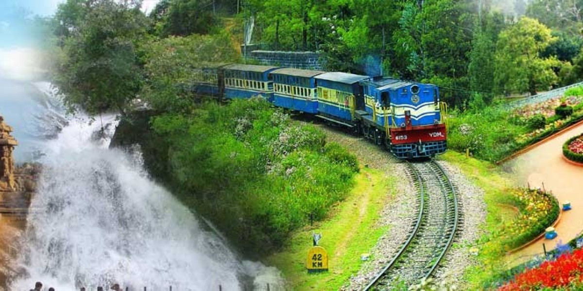 Tailor-Made Tamilnadu Tour Packages for an Unforgettable South India Experience