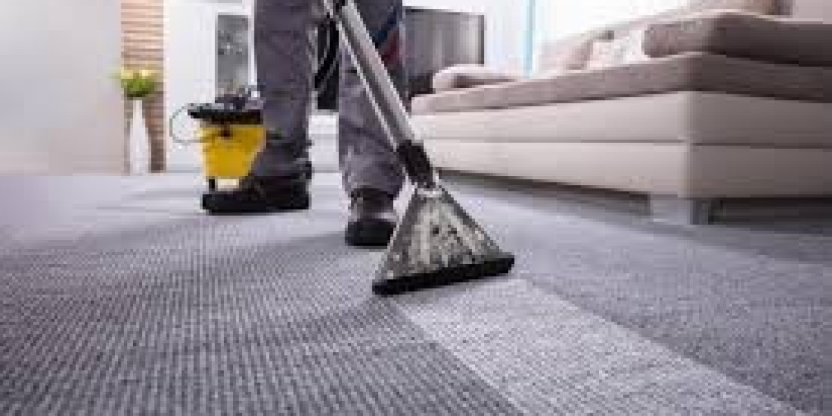 Essential Tips for Upholstery Cleaning in New Westminster