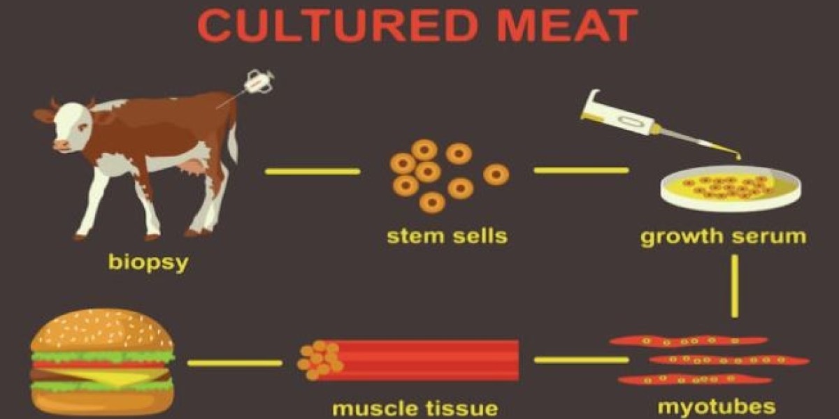 Cultured Meat Market Share at USD 811.4 Million & 97.89% CAGR, Growth Factors Analysis Forecast 2031