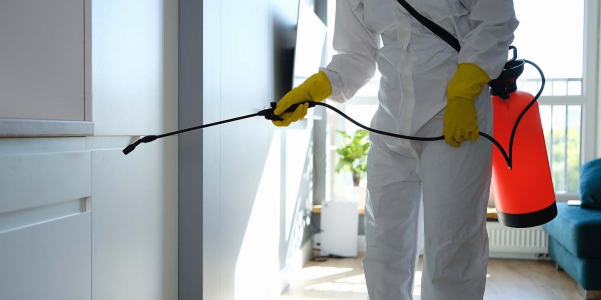 A Complete Guide To Termite Inspection in the USA