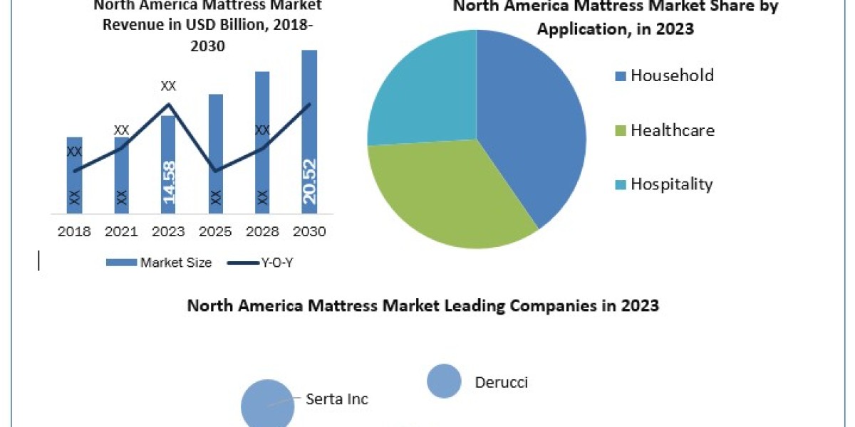 North America Mattress Market Statistical Snapshot: Size, Share, Revenue, and Worth Statistics | 2024-2030