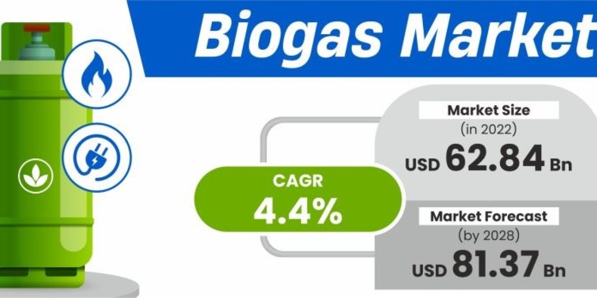 "Regional Analysis of the Biogas Market: Key Players and Growth Potential (2022-2028)"