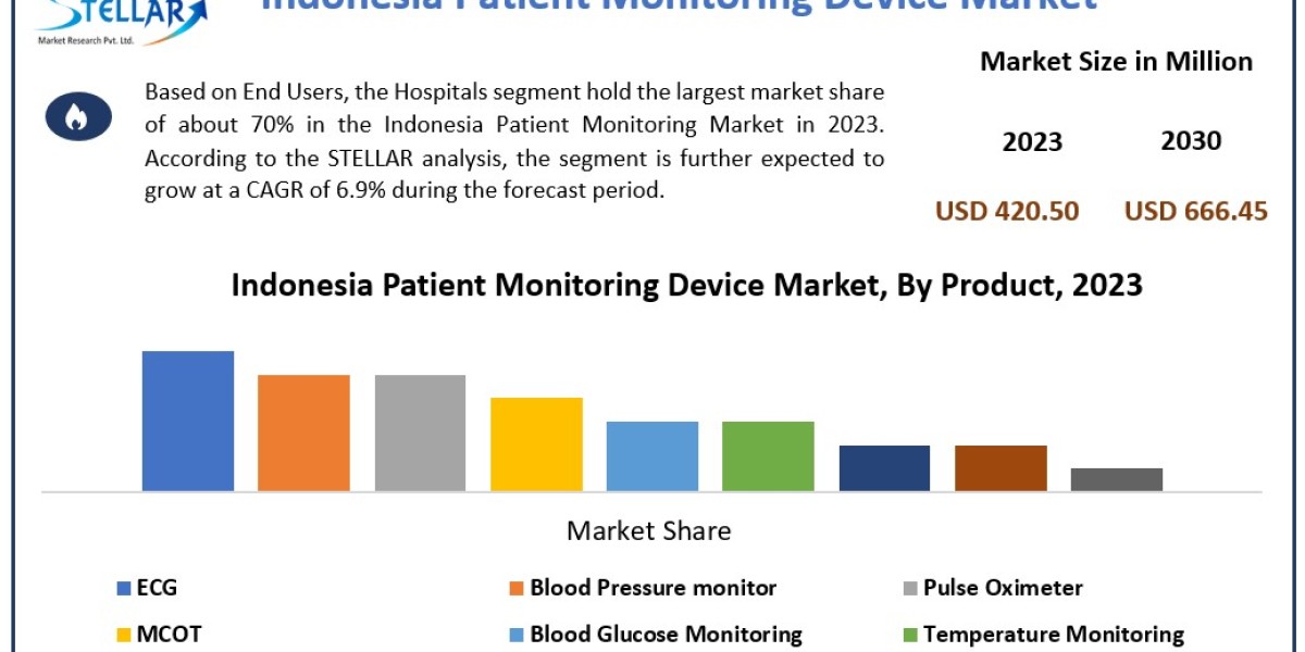 Indonesia Patient Monitoring Market Data Dimensions: Size, Share, Revenue, and Worth Statistics Overview | 2024-2030