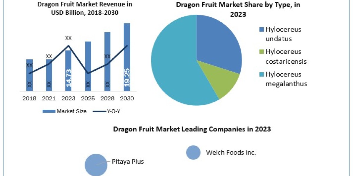 Dragon Fruit market Development, Key Opportunities and Analysis of Key Players to 2030