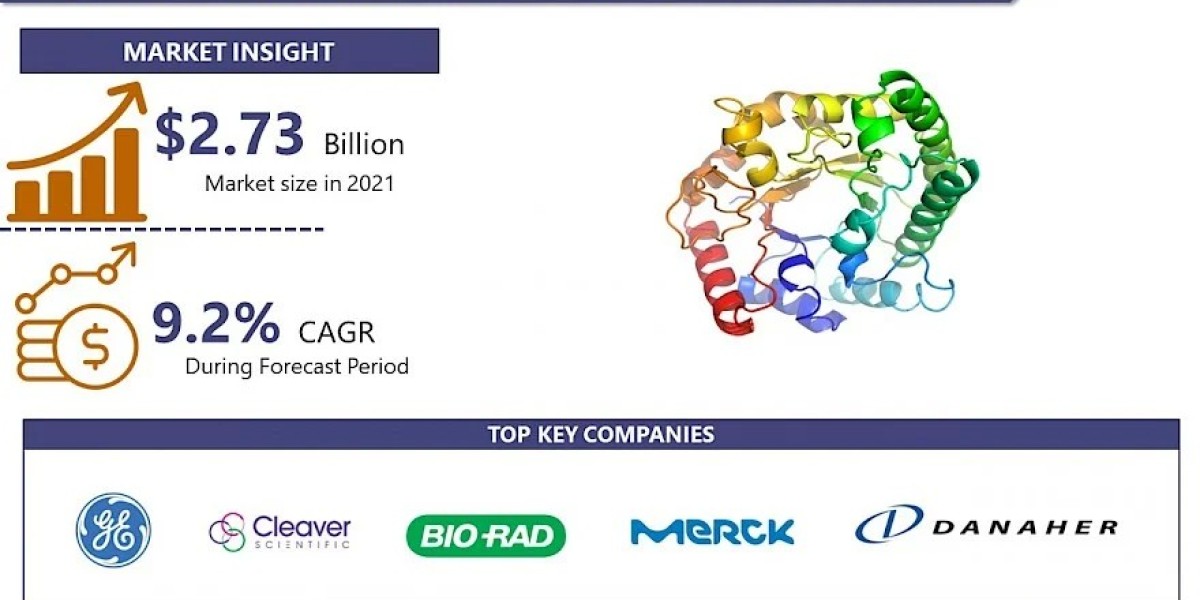 Protein Characterization and Identification Market to reach 6.26 USD Billion By 2032