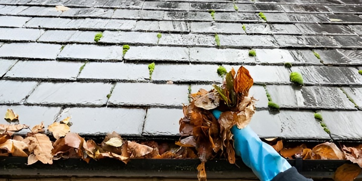 The Importance of Comprehensive Lawn Care and Gutter Services in Atlanta