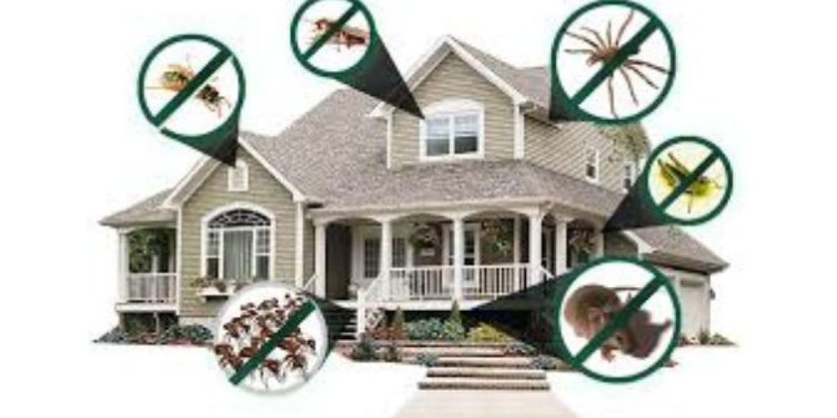 Why DIY Pest Control Might Not Be Enough?