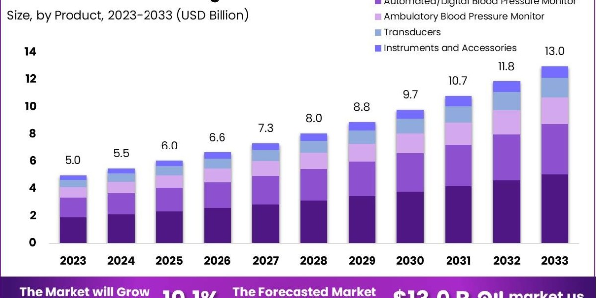 Blood Pressure Measuring Devices Market Segmentation and Target Audience Insights