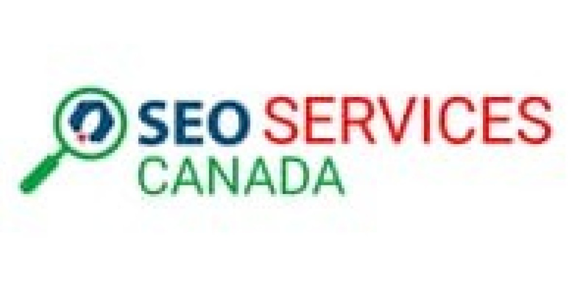 Driving Traffic and Conversions with Canada's Top SEO Minds
