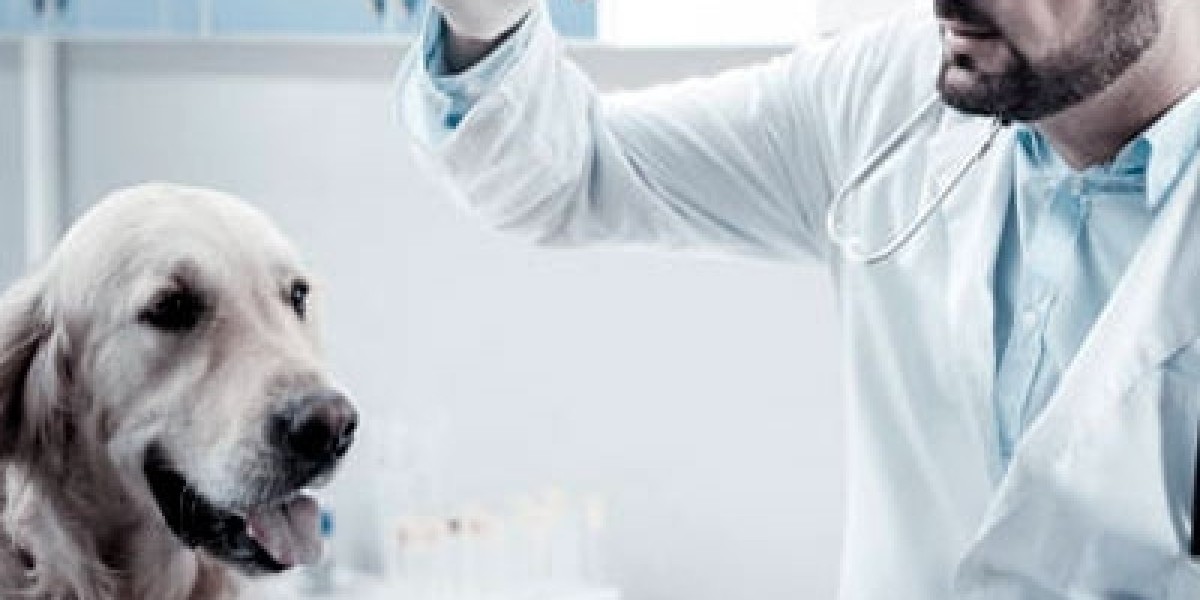 MPV Blood Test: Process, High MPV, Low MPV Meaning