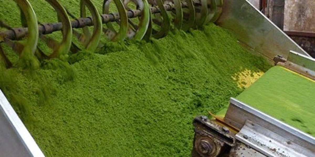 Setup a Tea Processing Plant- Detailed Project Report- Cost Analysis and Unit Operations