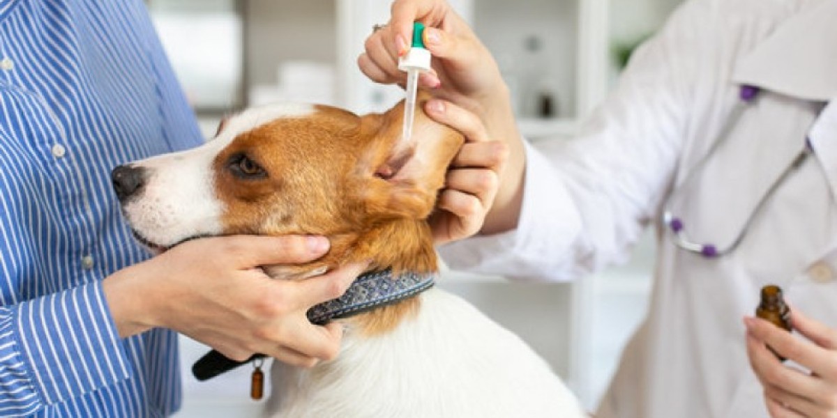 Homemade Food for Dogs with Liver Disease