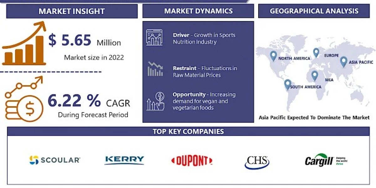 Plant Protein Ingredients Market: Rapidly Growing, Poised to Disrupt Traditional Meat and Dairy Industry By 2032 | IMR