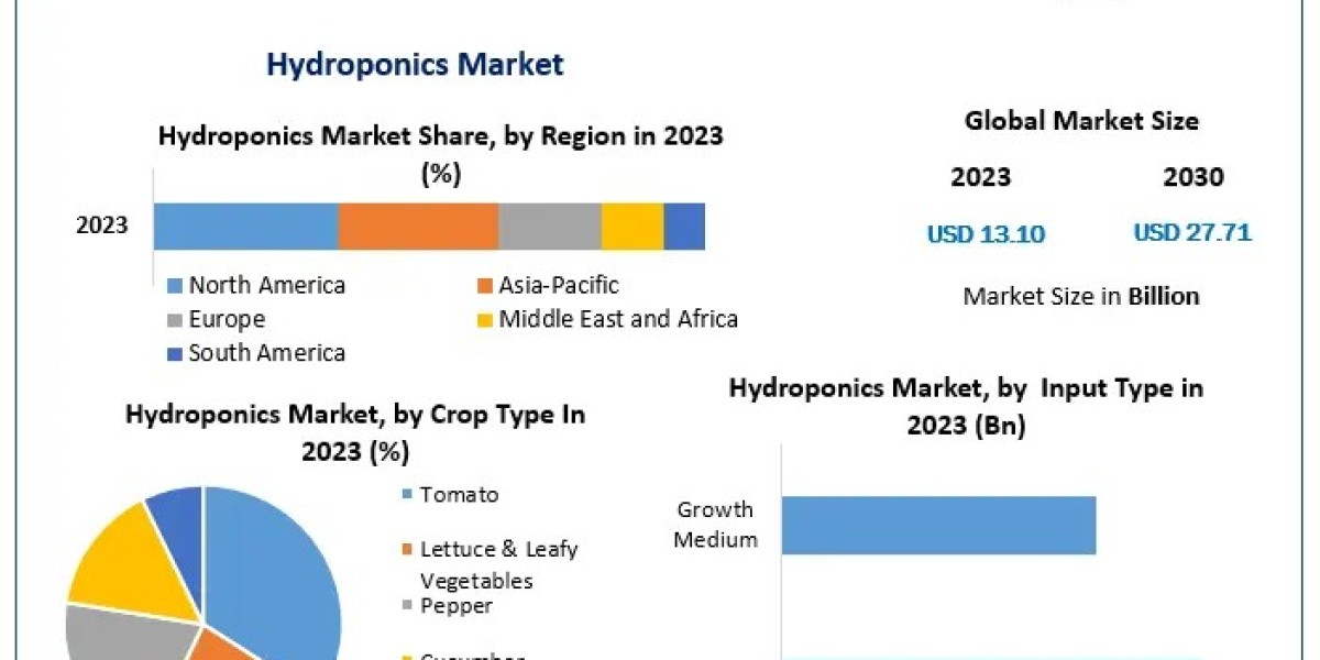 Hydroponics Market 2024-2030 Growth Trends and Emerging Opportunities