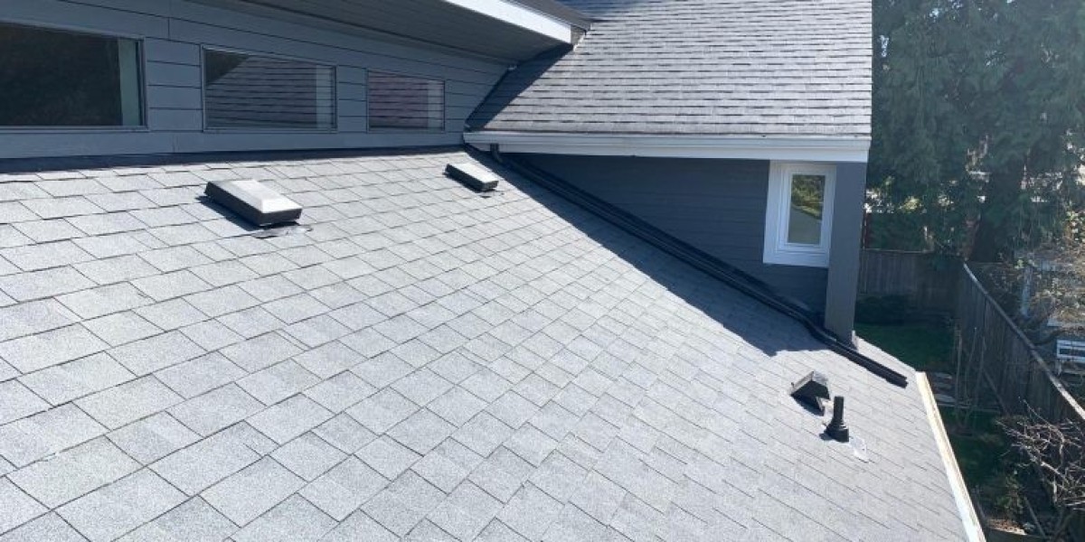 Metal Roofing A Durable Efficient Choice for Modern Homes