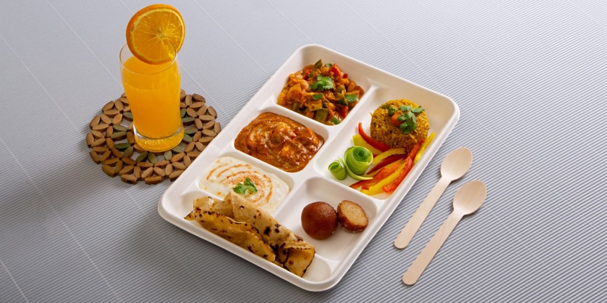 Regulatory and Certification Standards for Bagasse Plates: What You Need to Know
