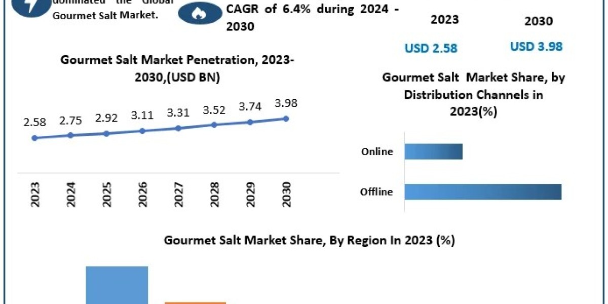 Gourmet Salt Market Forecast 2030