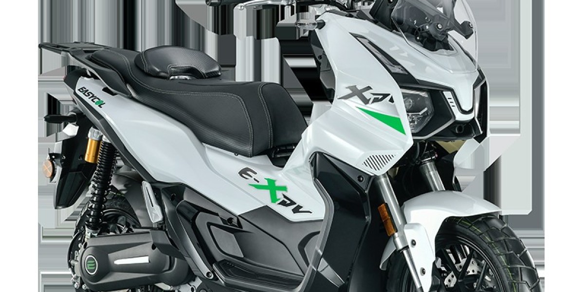 Adventure Meets Sustainability: The Thriving World of Electric ADV Scooter Motorcycles