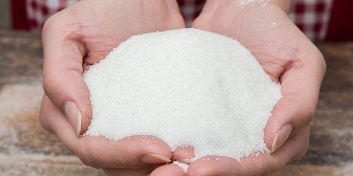 Setting up a Glucose Powder Manufacturing Plant Project Report 2024 and Business Plan