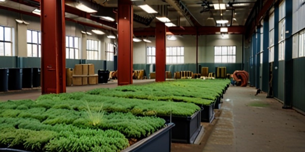 Green Roof Materials Manufacturing Plant Project Report 2024: Raw Materials, Investment Opportunities, Cost and Revenue