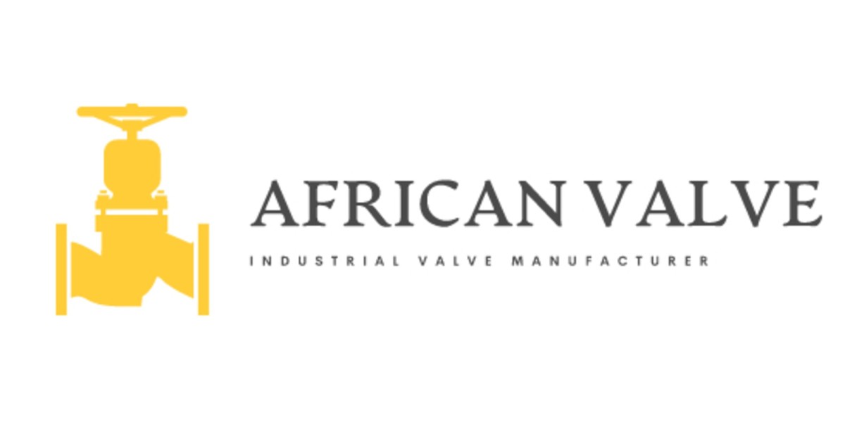 Needle Valve Supplier in Chad