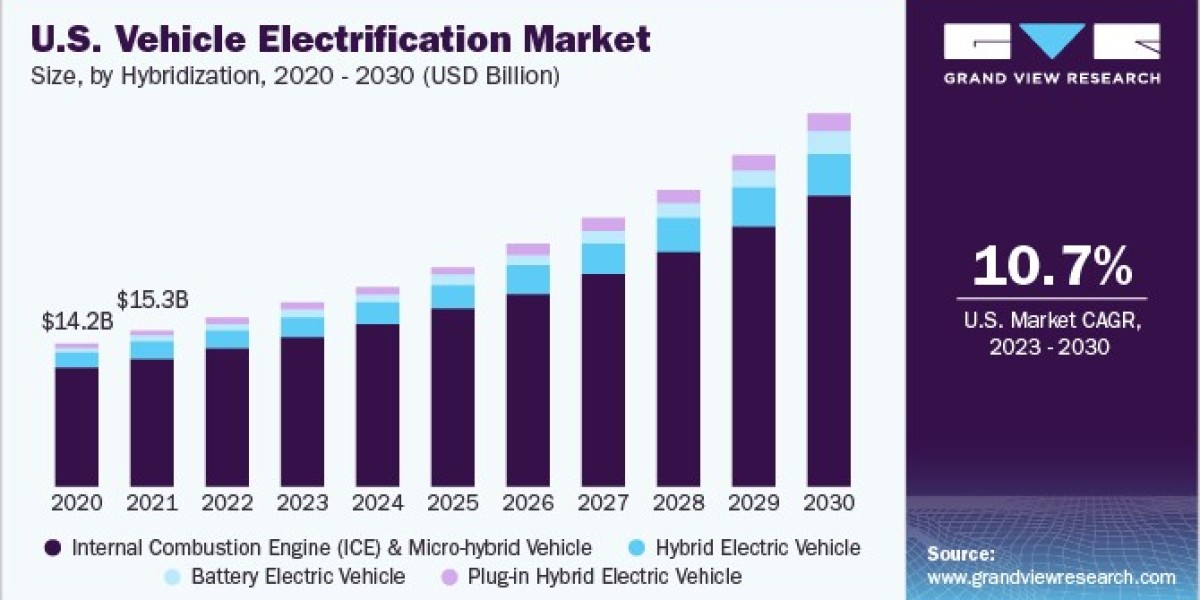 Vehicle Electrification Market Overview, Leading Players And Strategies Report To 2030