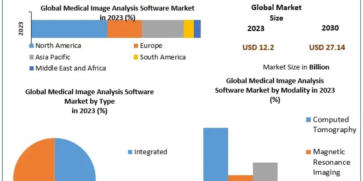 Medical Image Analysis Software Market Economic Forecasts: Industry Outlook, Size, and Growth Forecast 2030