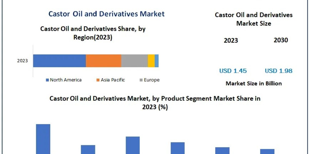 Global Castor Oil and Derivatives Market Competitive Growth, Trends, Share By Major Key Players 2030