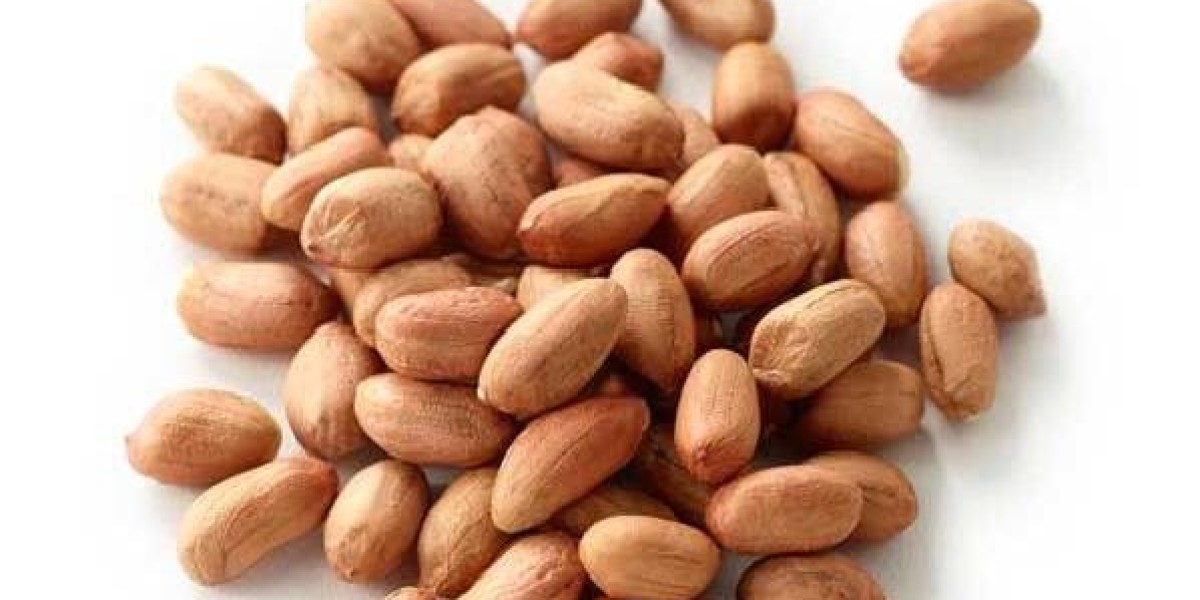 Key Factors to Consider When Choosing Wholesale Peanut Suppliers
