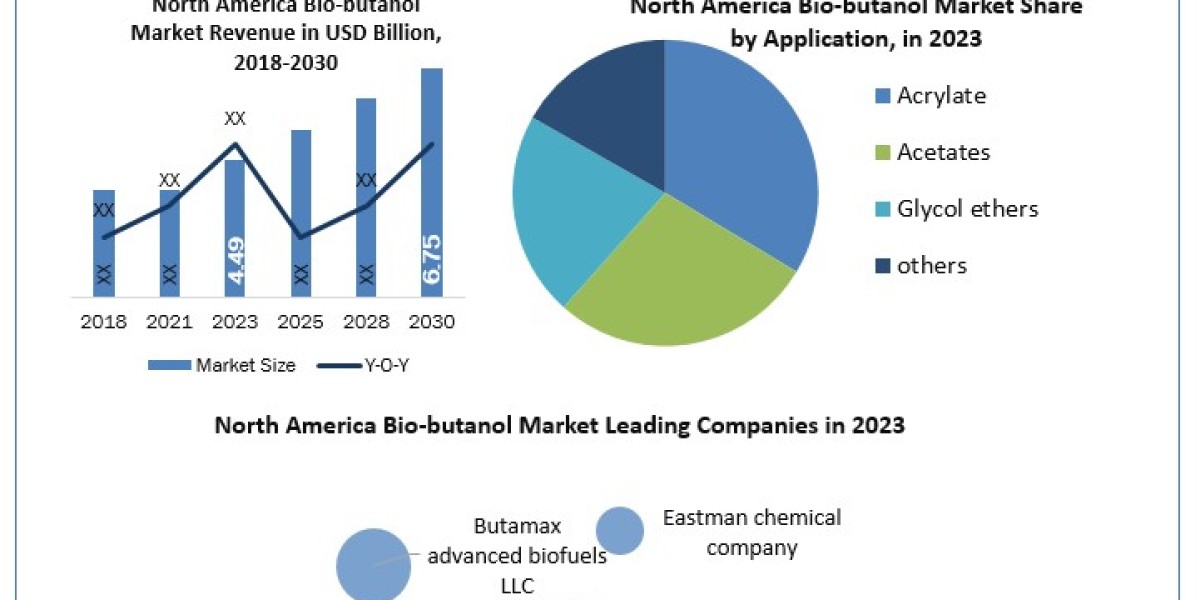 North America Bio-butanol Market Statistical Snapshot: Unveiling Segmentation, Outlook, and Overview Trends | 2024-2030